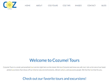 Tablet Screenshot of cozumeltours.com